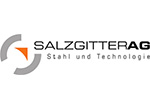 logo_saltsglittzerag